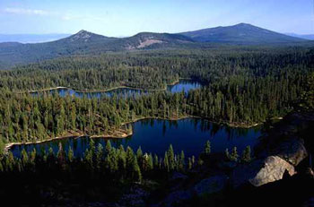 Part of the Winema National Forest