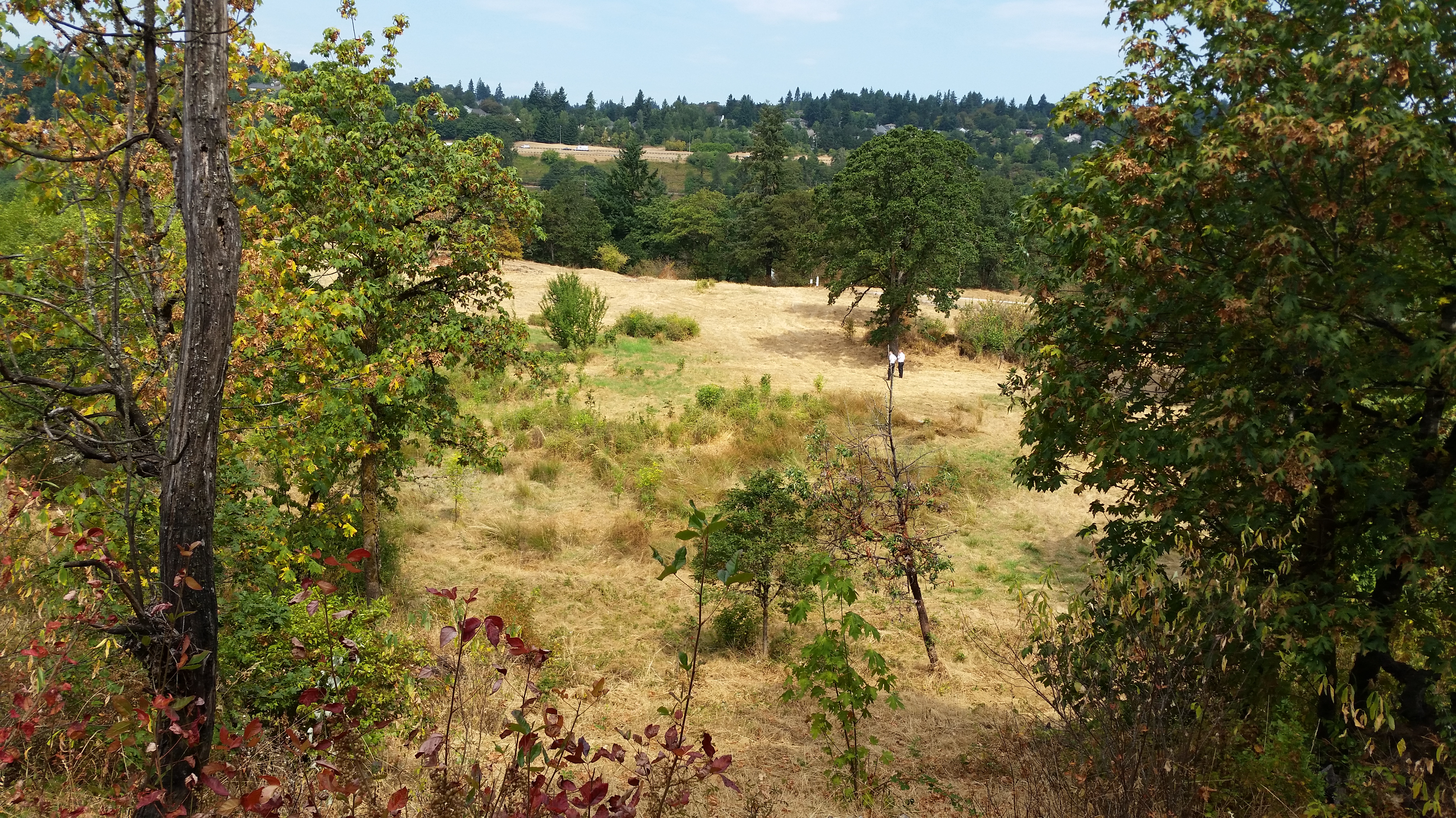 Canemah Natural Area 2015 Walkthrough